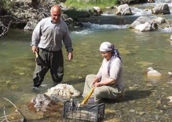 Şimoni ve Hürmüz Diril davası: Olaya dair bilgi sahibi olan birçok kişi susturuldu