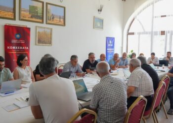 Amed’de Kürtçe için ortak terminoloji çalıştayı