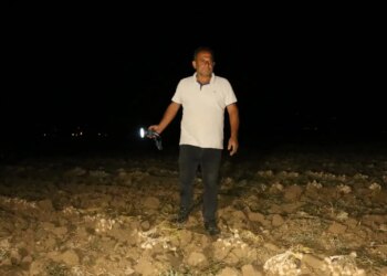 ‘Beyaz altın’ için uykusuz nöbet:  Raf ömrüyle rakipsiz, Avrupa’nın göz bebeği…