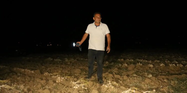 ‘Beyaz altın’ için uykusuz nöbet: Raf ömrüyle rakipsiz, Avrupa’nın göz bebeği…