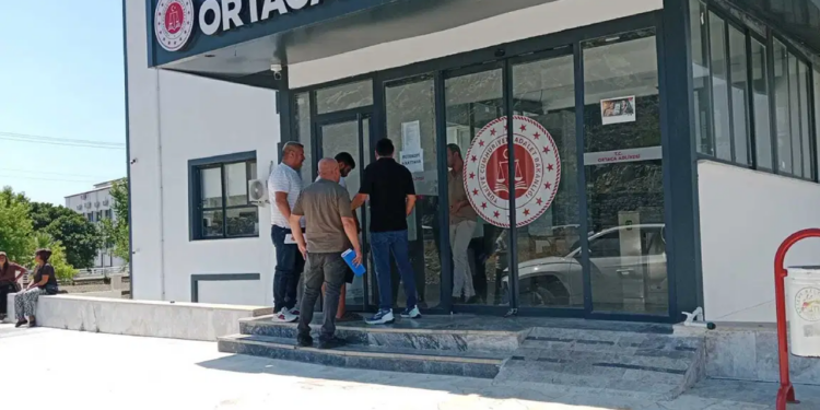 Muğla'daki Orman Yangınına İlişkin Bir Kişiye Gözaltı
