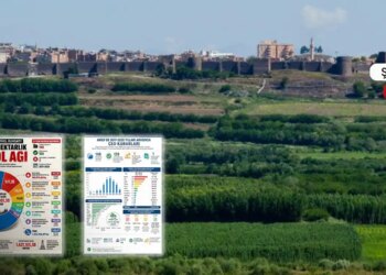 Amed’de devasa doğa yağması
