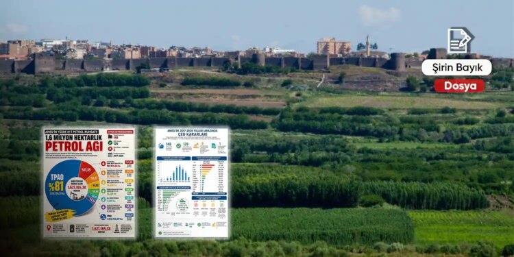 Amed’de devasa doğa yağması