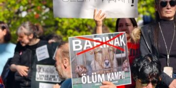 Riha Ekoloji Meclisi: Barınaklarda ciddi hak ihlalleri var