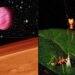 Mars’taki karbon moleküllerinden “yaylı tuzak” kuran örümceklere bu ayki gelişmeler!