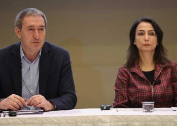 DEM Parti Eş Genel Başkanları’ndan Deniz Göktaş tepkisi