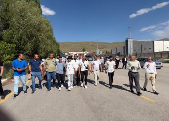 BDP ilçe başkanı Meşe 11 yılın ardından tahliye edildi