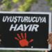 Qers’te uyuşturucu kullanımı artıyor: Bilinçli politikaların sonucu