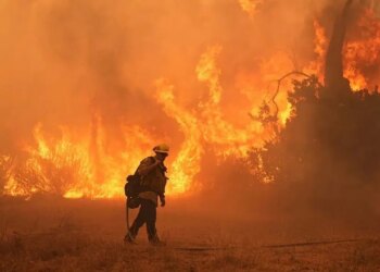 İklim değişikliğinde tarihi kırılma: Rekor kıran El Nino dalgalanmaları dünyayı tehdit ediyor