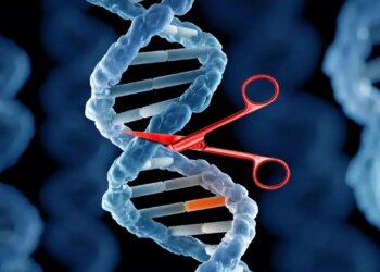 Genetik hastalıklarda tRNA dönemi: Hücresel kod hatalarını aşan yeni tedavi yöntemi geliştirildi