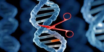 Genetik hastalıklarda tRNA dönemi: Hücresel kod hatalarını aşan yeni tedavi yöntemi geliştirildi