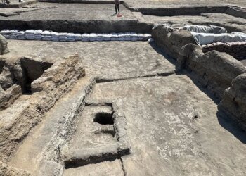 Çatalhöyük kazılarında dikkat çeken keşif: En büyüğü 6 aylık 8 bebek iskeleti bulundu! – Son Dakika Yaşam Haberleri