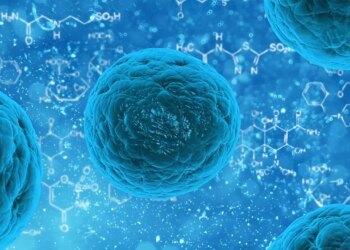 Kanser tedavisinde ezber bozan kuantum modeli: Hücresel durumlar haritalandırıldı