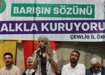 Kılıçgün Uçar: Kürt sorununun çözümünün sadece silahların bırakılmasından ibaret görülemez