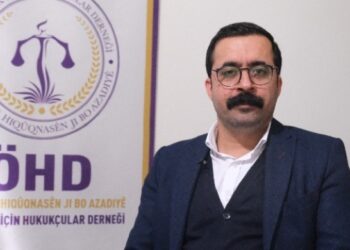 ÖHD Eş Genel Başkanı: Çerçeve yasa bir başlangıç