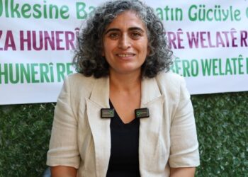 Sebahat Tuncel: Çerçeve yasa başlangıç, demokratik siyasetin önü açılmalı
