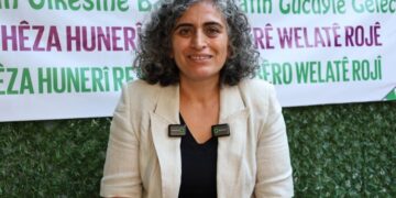 Sebahat Tuncel: Çerçeve yasa başlangıç, demokratik siyasetin önü açılmalı