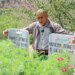 Birbirini hiç tanımayan iki kardeşin kemikleri bahçelerindeki meşe ağacının altında buluştu