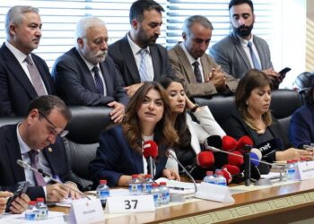Koçyiğit: Bu yasa demokratik çözümün başlangıcıdır