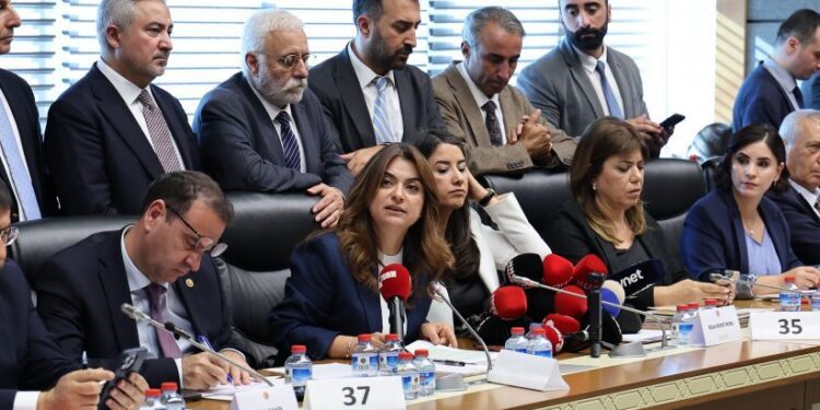 Koçyiğit: Bu yasa demokratik çözümün başlangıcıdır