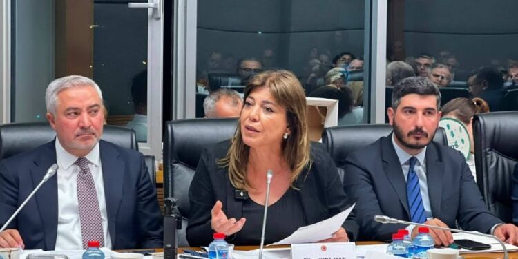 Beştaş komisyonda acil atılması gereken adımları sıraladı