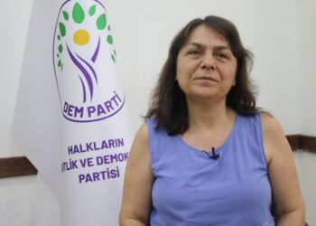 Özgül Saki: Çerçeve yasayı demokratikleşmeye evirtebiliriz