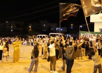 Mêrdîn’de coşkulu 15 Ağustos kutlaması