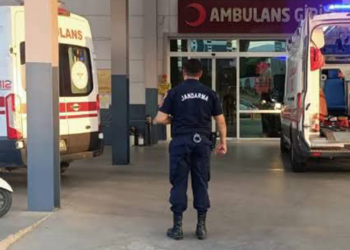 Aydın'da Acı Olay: Domuz Sanıp Tetiğe Bastı, Babasını Öldürdü