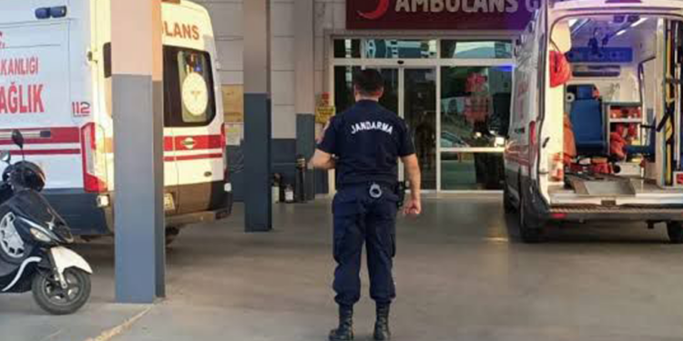 Aydın'da Acı Olay: Domuz Sanıp Tetiğe Bastı, Babasını Öldürdü