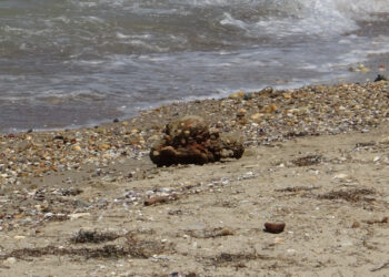 Çanakkale Sahilinde Bomba Alarmı! Çanakkale Savaşları'ndan Kalma Mühimmat Bulundu