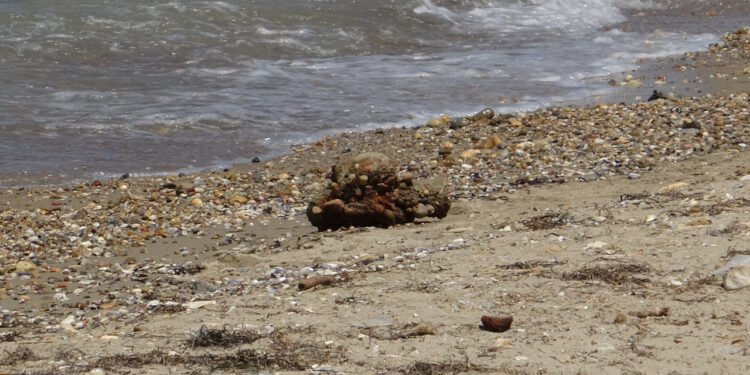 Çanakkale Sahilinde Bomba Alarmı! Çanakkale Savaşları'ndan Kalma Mühimmat Bulundu