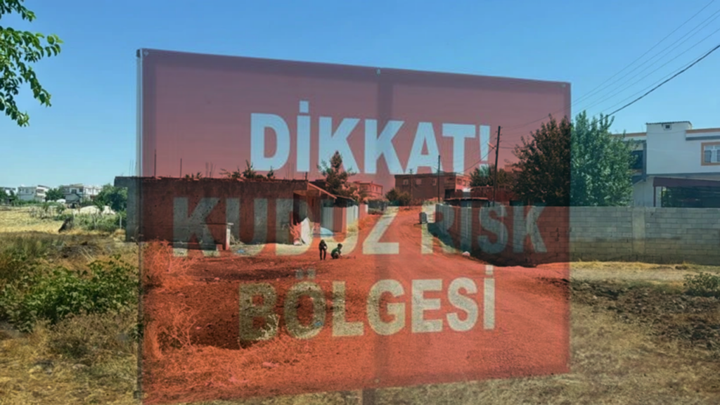 Diyarbakır'da 'Kuduz' Alarmı: Kedinin Isırdığı Çocuk Entübe Edildi