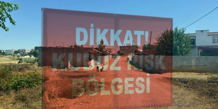 Diyarbakır'da 'Kuduz' Alarmı: Kedinin Isırdığı Çocuk Entübe Edildi