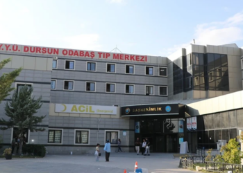 Van'da Yürek Yakan Olay: 2 Kardeş Boğuldu, Kurtarmaya Çalışan Baba Yoğun Bakımda