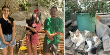 Sokak kedileri için ‘mahalle’ projesi: 13 yaşındaki Bade’den su ve mama kabı desteği