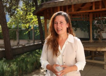 Yüksel Genç: ‘Çerçeve yasa’ silahsızlanmanın hukuki çerçevesini oluşturuyor