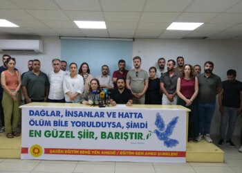 Amed Emek ve Demokrasi Platformu: Çerçeve yasa demokratikleşmenin güvencesi değil, ilk adım