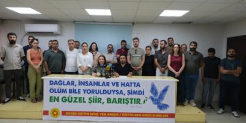 Amed Emek ve Demokrasi Platformu: Çerçeve yasa demokratikleşmenin güvencesi değil, ilk adım
