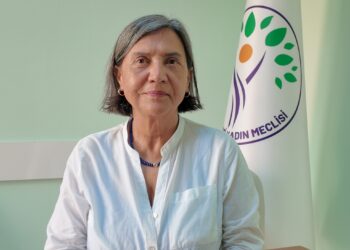 Mutlu: Alevilerin süreçte temsiliyeti olmalı