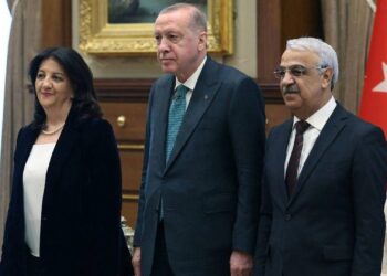 DEM Parti İmralı Heyeti: Sürecin kararlılıkla sürdürüleceği teyit edildi