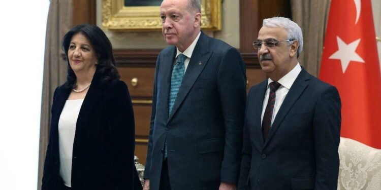 DEM Parti İmralı Heyeti: Sürecin kararlılıkla sürdürüleceği teyit edildi