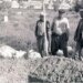 ‘Newala Qesaba hafıza merkezi olmalı’