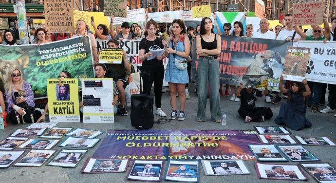 Katliam yasası ikinci yılında: Hayvan hakları savunucularından ‘yasa geri çekilsin’ çağrısı