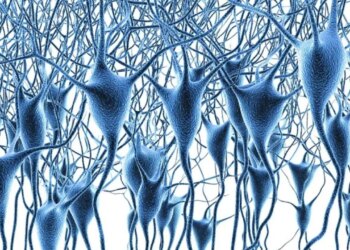 İnsan beyninin dev gen haritası çıkarıldı: 6 milyon beyin hücresi haritalandırıldı, Alzheimer ve demansın şifresi çözüldü