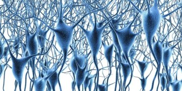 İnsan beyninin dev gen haritası çıkarıldı: 6 milyon beyin hücresi haritalandırıldı, Alzheimer ve demansın şifresi çözüldü