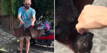 Yurt dışında çekilen görüntüler gündem oldu: Türk YouTuber’ı yarasa ısırdı, COVID-19 endişesi yeniden doğdu