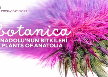 Botanica: Anadolu’nun Bitkileri sergi 26 Eyül’de başlıyor