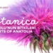 Botanica: Anadolu’nun Bitkileri sergi 26 Eyül’de başlıyor