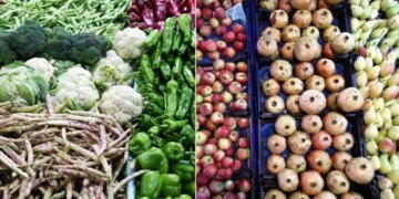 Eylül ayında hangi meyve ve sebzeler yenir? İşte eylül ayının en taze ürünleri – Son Dakika Yaşam Haberleri