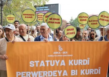 ‘Kürtçe tercih dili değil, eşit statü istiyoruz’